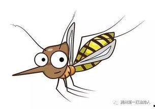 青蛙蚊子视频,一场自然界的生存较量