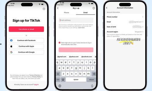 tiktok注册教程视频,TikTok注册教程视频精华概述