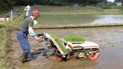 插秧机的视频,农业现代化的生动实践