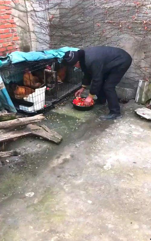 集宁搞笑视频,笑点满满，欢乐无限