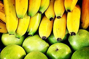 香蕉的种植方法视频,从播种到收获